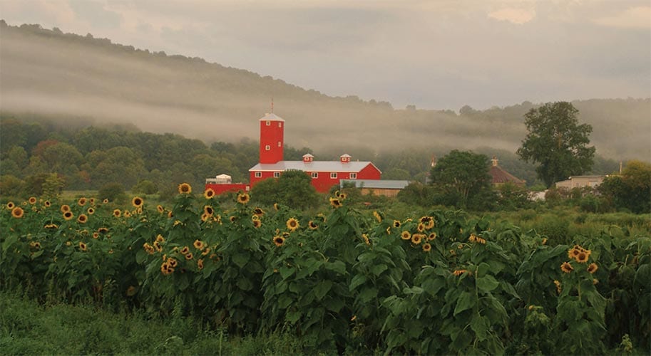 Black Dirt Distillery