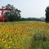 Storm King Art Center